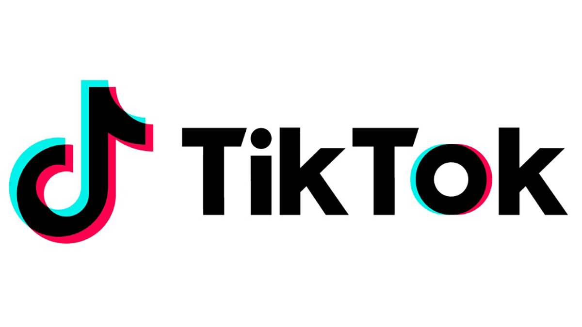 tiktok-story-viewer.logo.png