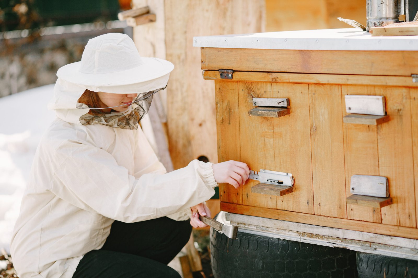 winter bee hive wraps lappes bee supply